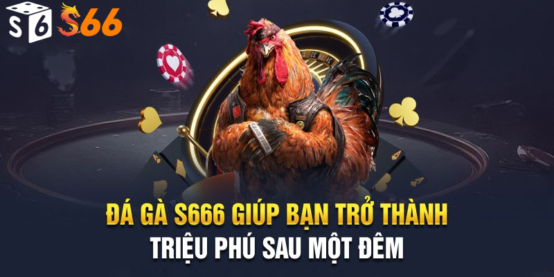 Tổng quát về game đá gà S66